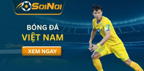 Bóng Đá Việt Nam – Tổng Quan Các Giải Đấu Chuyên Nghiệp
