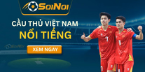 Cầu Thủ Việt Nam Nổi Tiếng – Hành Trình Vươn Tầm Châu Á