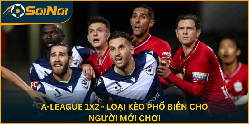 A-League 1X2 - Loại kèo phổ biến cho người mới chơi