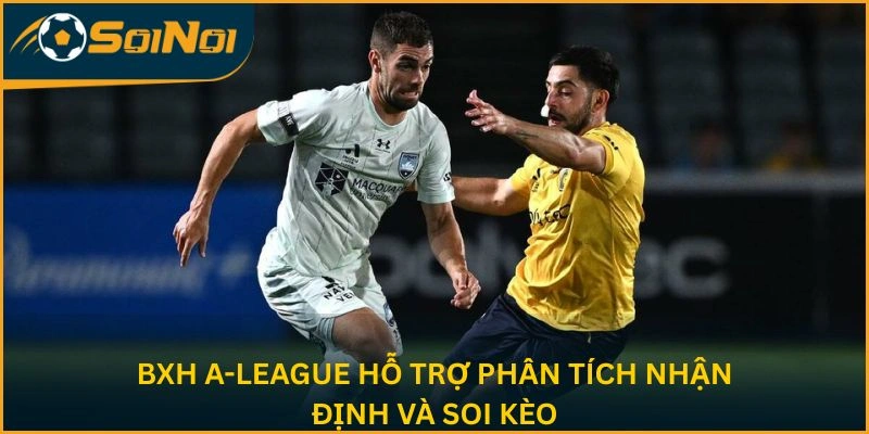 BXH A-League hỗ trợ phân tích nhận định và soi kèo