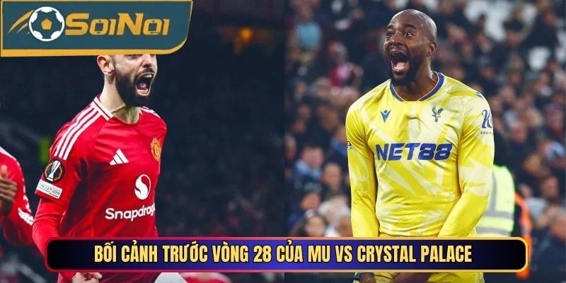 Bối cảnh trước vòng 28 của Manchester United vs Crystal Palace