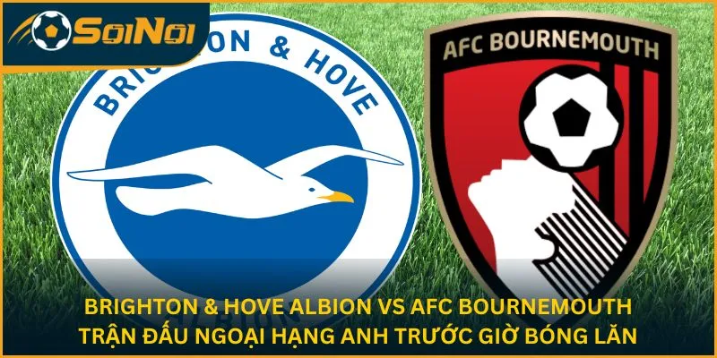 Brighton & Hove Albion vs AFC Bournemouth - Trận đấu Ngoại hạng Anh trước giờ bóng lăn
