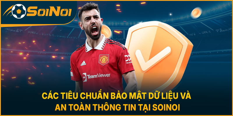 Các tiêu chuẩn bảo mật dữ liệu và an toàn thông tin tại SoiNoi