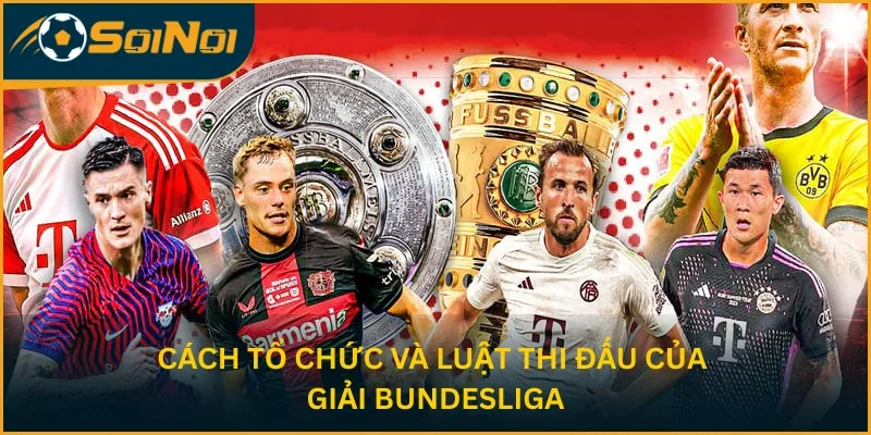 Cách tổ chức và luật thi đấu của giải Bundesliga