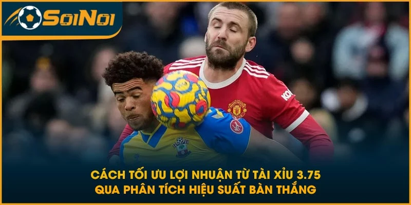 Cách tối ưu lợi nhuận từ tài xỉu 3.75 qua phân tích hiệu suất bàn thắng