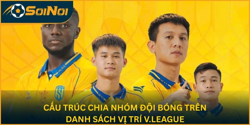 Cấu trúc chia nhóm đội bóng trên danh sách vị trí V.League