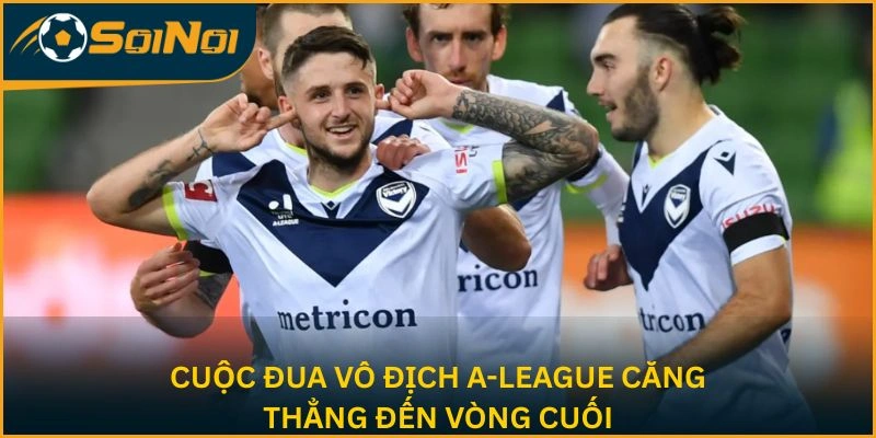 Cuộc đua vô địch A-League căng thẳng đến vòng cuối