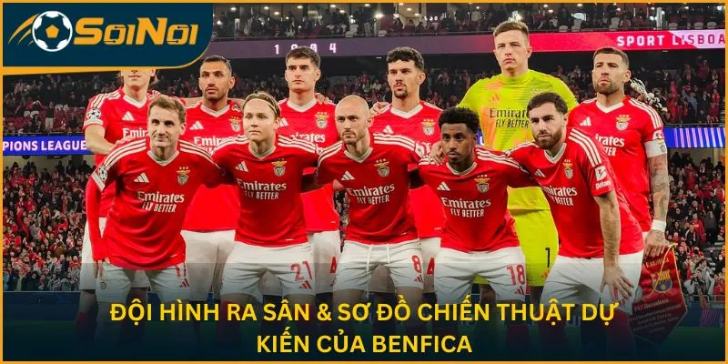 Đội hình ra sân & sơ đồ chiến thuật dự kiến của Benfica