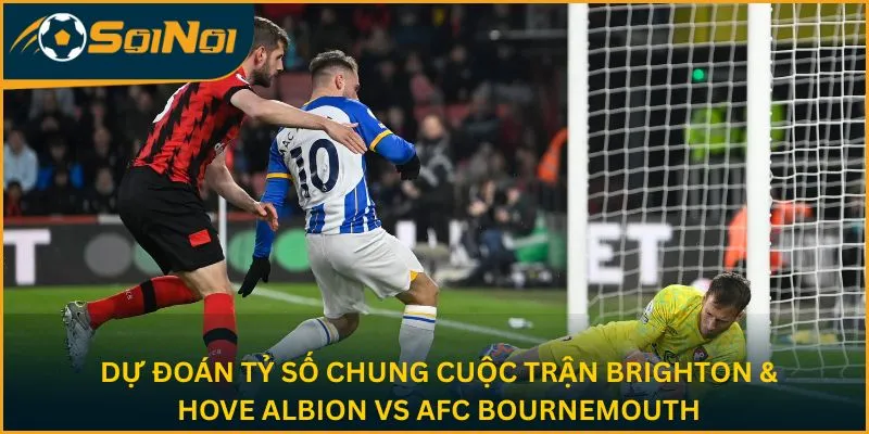 Dự đoán tỷ số chung cuộc trận Brighton & Hove Albion vs AFC Bournemouth