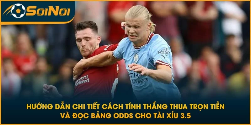 Hướng dẫn chi tiết cách tính thắng thua trọn tiền và đọc bảng Odds cho tài xỉu 3.5