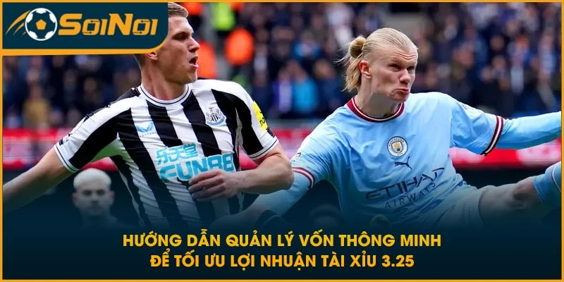 Hướng dẫn quản lý vốn thông minh để tối ưu lợi nhuận tài xỉu 3.25