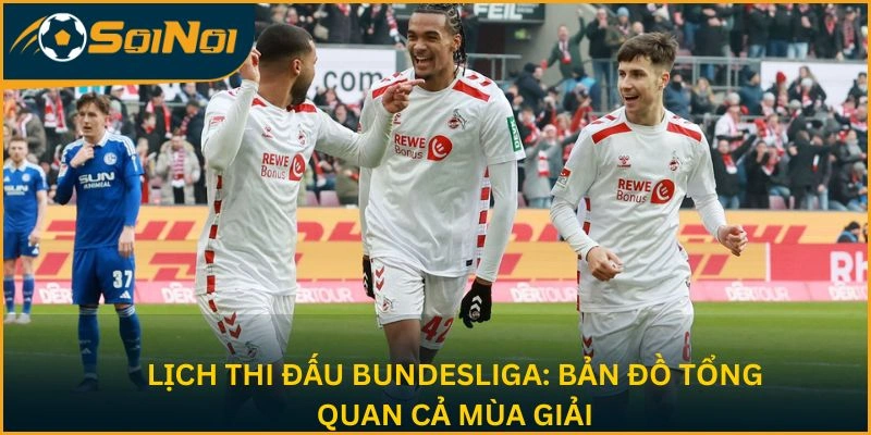 Lịch thi đấu Bundesliga: Bản đồ cả mùa giải