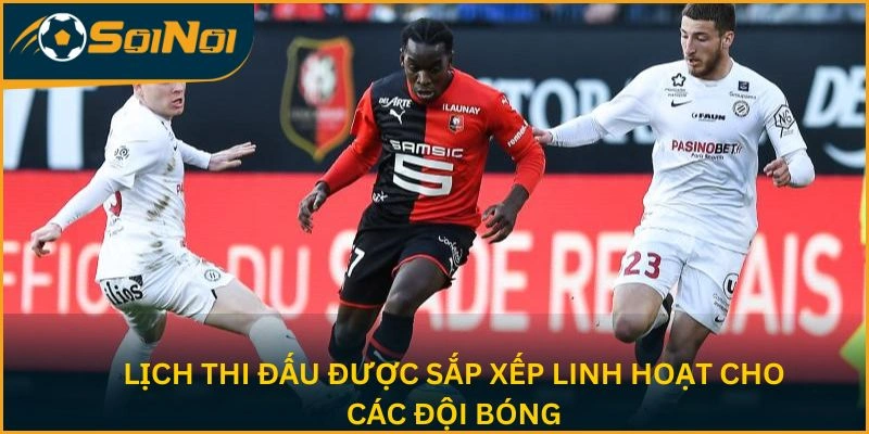 Lịch thi đấu sắp xếp linh hoạt cho các đội bóng