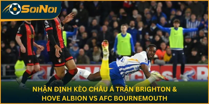 Nhận định kèo châu Á trận Brighton & Hove Albion vs AFC Bournemouth