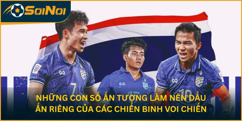 Những con số ấn tượng làm nên dấu ấn riêng của các chiến binh Voi chiến