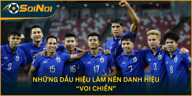 Những dấu hiệu làm nên danh hiệu “Voi chiến”