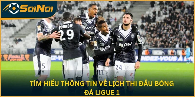 Tìm hiểu về lịch thi đấu bóng đá Ligue 1