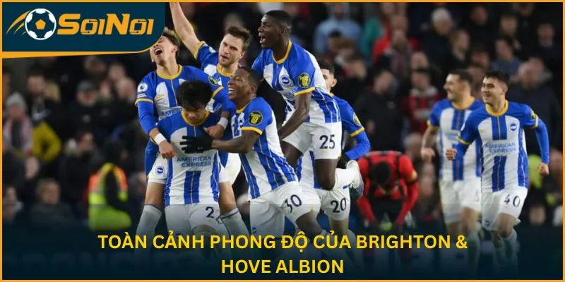 Toàn cảnh phong độ của Brighton & Hove Albion