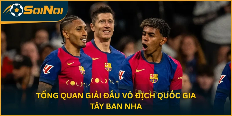 Tổng quan giải đấu Vô địch Quốc gia Tây Ban Nha