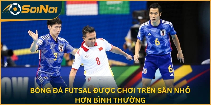 Bóng đá futsal được chơi trên sân nhỏ hơn bình thường