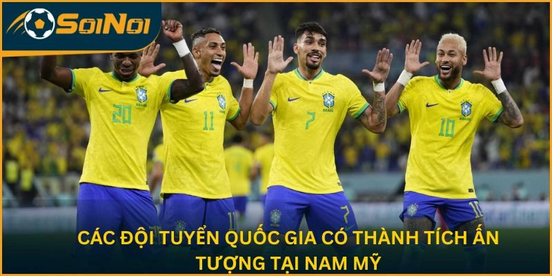 Các đội tuyển quốc gia có thành tích ấn tượng tại Nam Mỹ