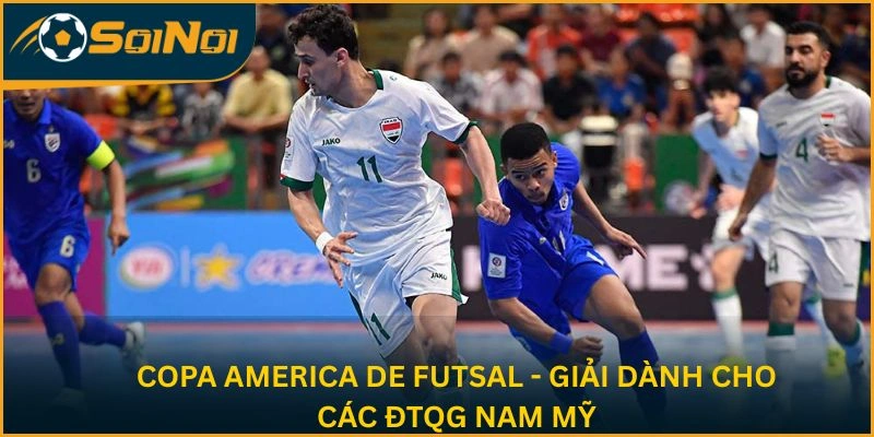 Copa America de Futsal - Giải dành cho các ĐTQG Nam Mỹ