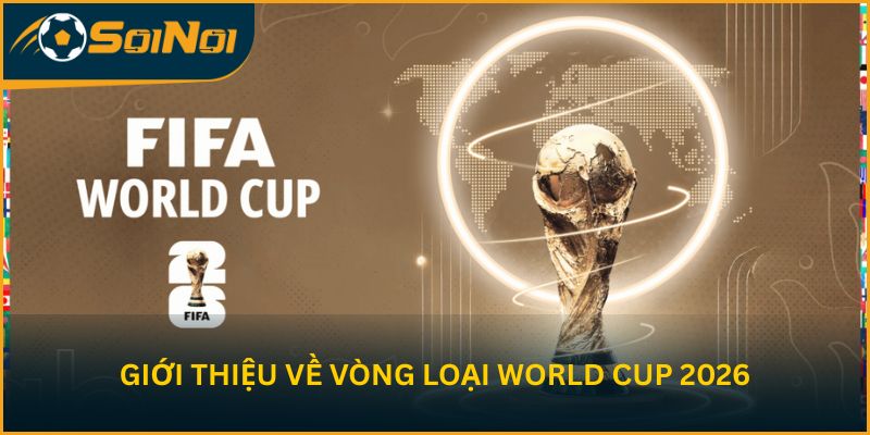 Giới thiệu về vòng loại World Cup