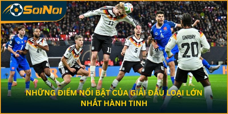 Những điểm nổi bật của giải đấu loại lớn nhất hành tinh