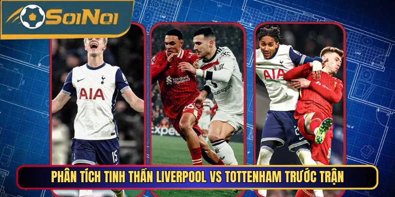 Phân tích tinh thần Liverpool vs Tottenham trước trận