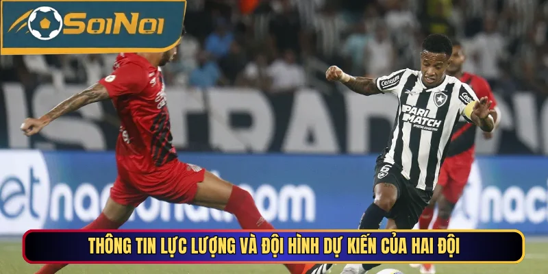 Thông tin lực lượng và đội hình dự kiến của hai đội