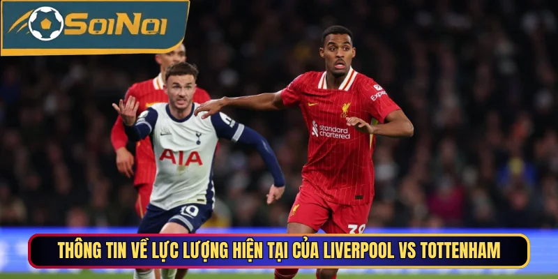 Thông tin về lực lượng hiện tại của Liverpool vs Tottenham