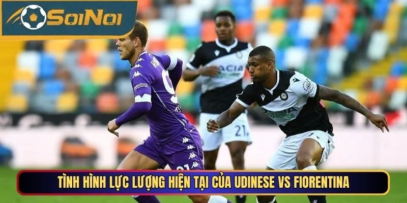 Tình hình lực lượng hiện tại của Udinese vs Fiorentina