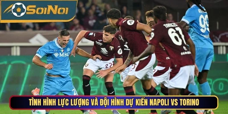 Tình hình lực lượng và đội hình dự kiến Napoli vs Torino