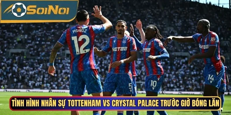 Tình hình nhân sự Tottenham vs Crystal Palace trước giờ bóng lăn