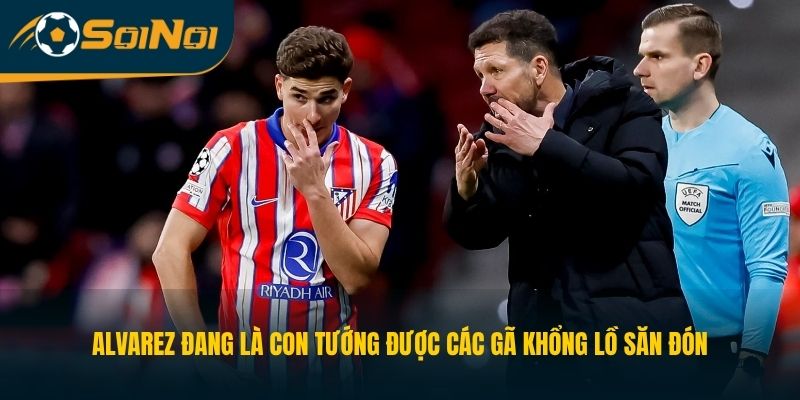 Alvarez đang là con tướng được các gã khổng lồ săn đón