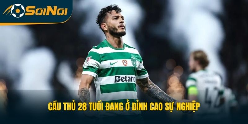 Cầu thủ 28 tuổi đang ở đỉnh cao sự nghiệp