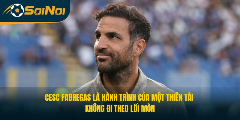 Cesc Fabregas là hành trình của một thiên tài không đi theo lối mòn