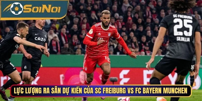 Lực lượng ra sân dự kiến của SC Freiburg vs FC Bayern Munchen
