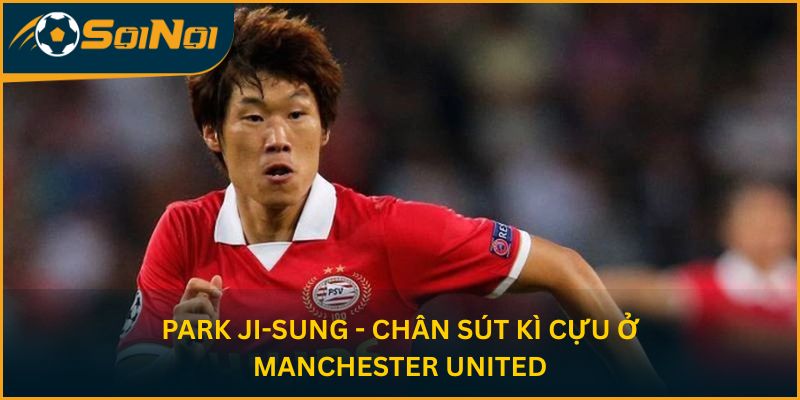 Park Ji-sung - Chân sút kì cựu ở Manchester United