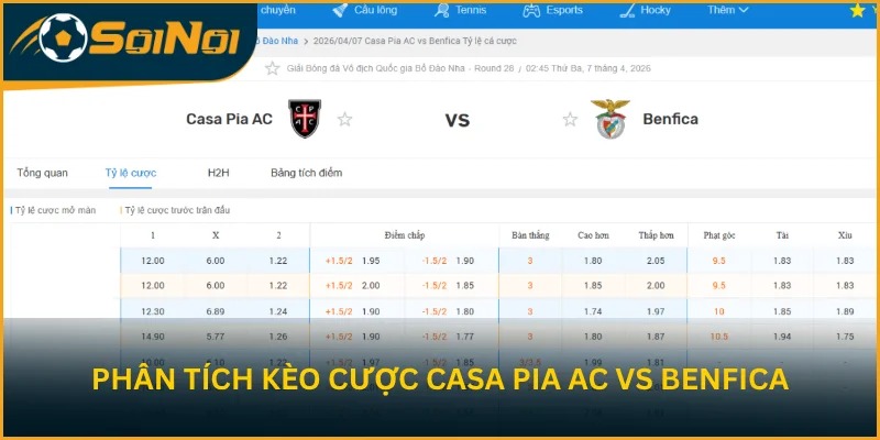 Soi kèo trận đấu Casa Pia AC vs Benfica từ SoiNoi