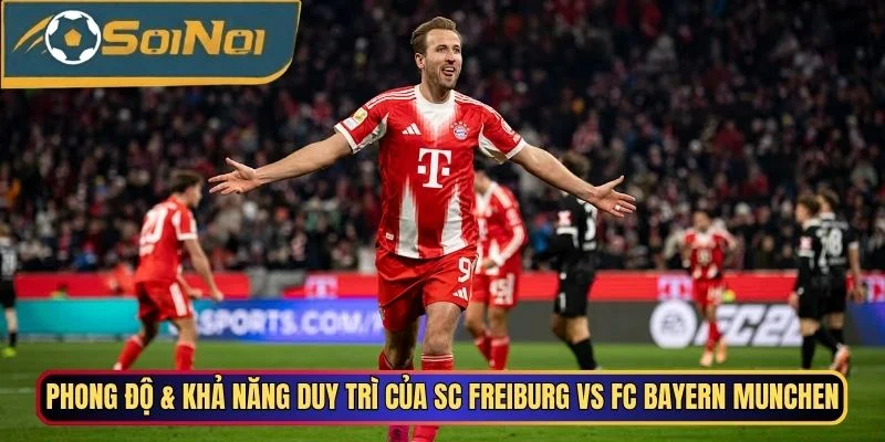 Phong độ & Khả năng duy trì của SC Freiburg vs FC Bayern Munchen
