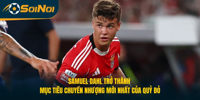Samuel Dahl trở thành mục tiêu chuyển nhượng mới nhất của Quỷ đỏ