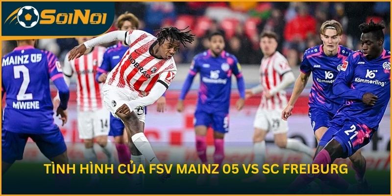 Tình hình sau 28 vòng của FSV Mainz 05 vs SC Freiburg