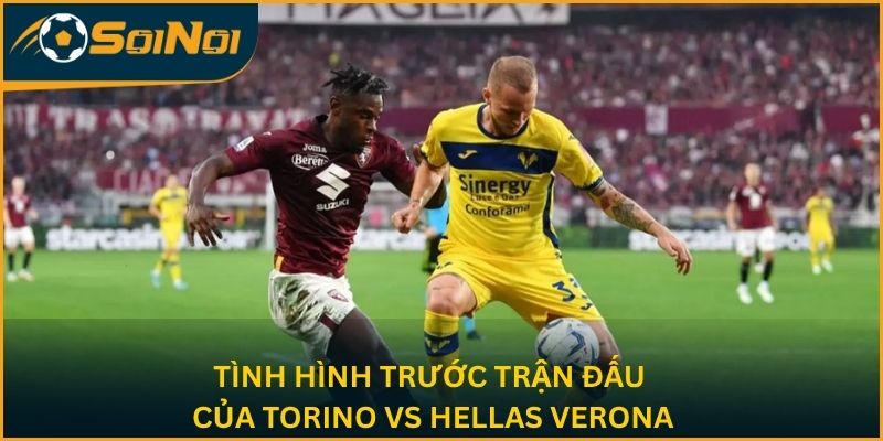 Tình hình trước trận đấu của Torino vs Hellas Verina