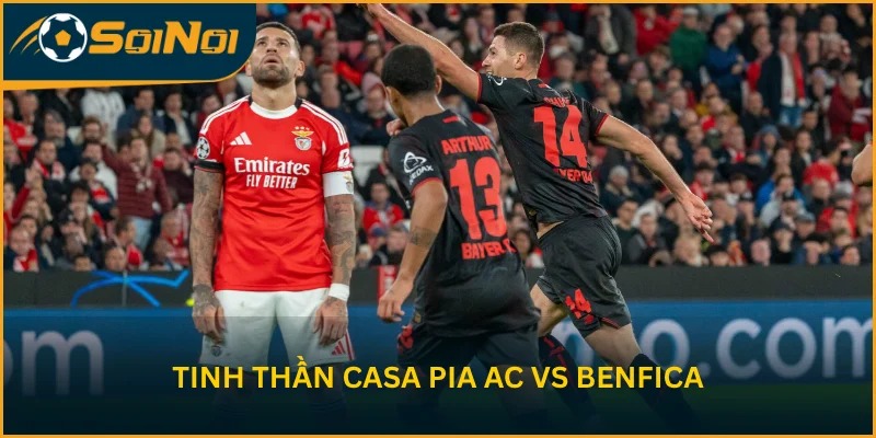 Nhận định tinh thần trước vòng 28 của Casa Pia AC vs Benfica