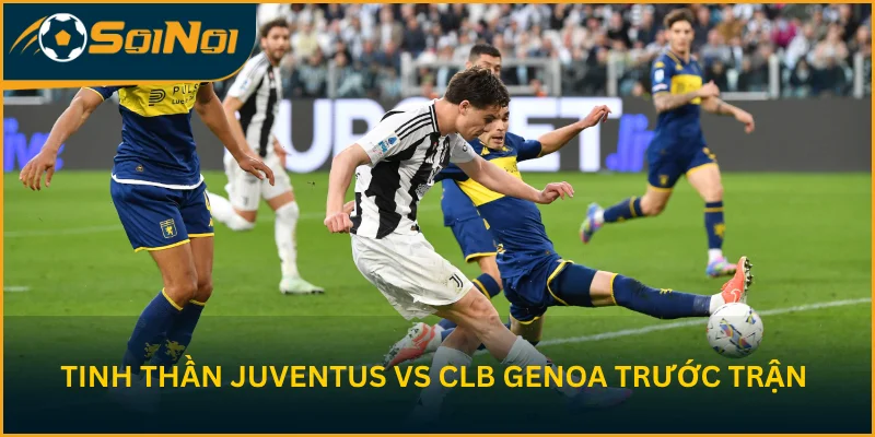 Toàn cảnh cục diện trước trận Juventus F.C. vs CLB Genoa